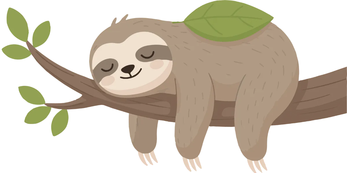 Sloth in Puerto Viejo