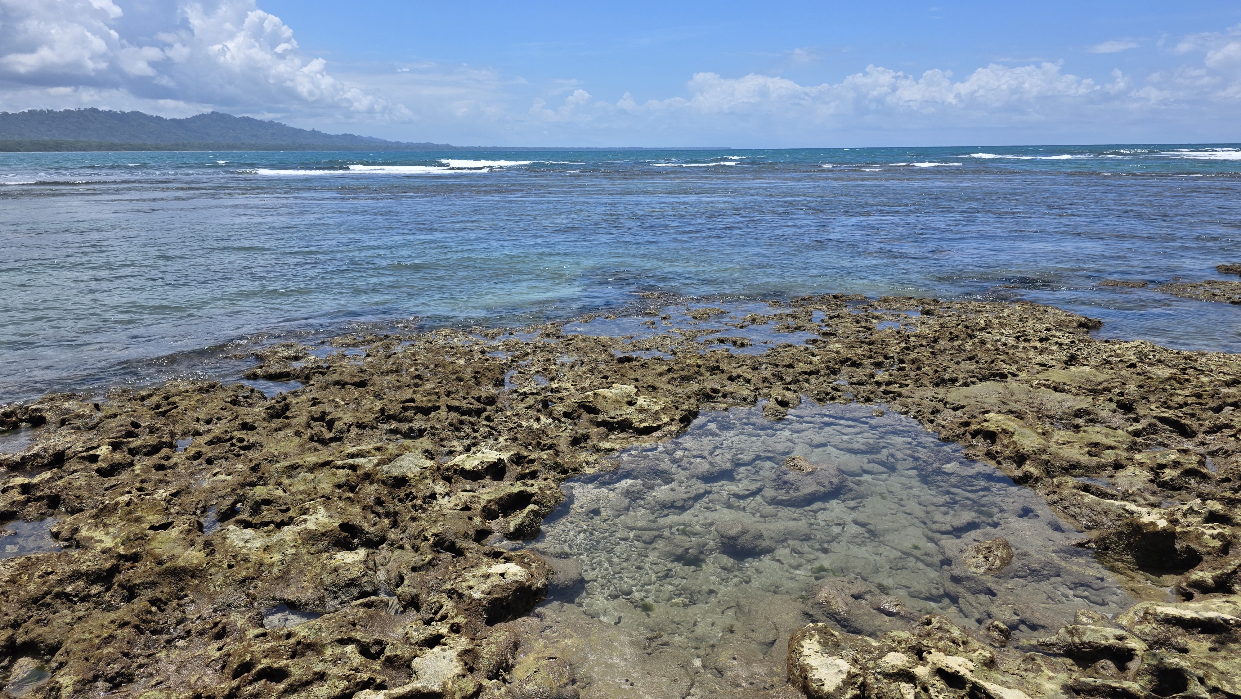 פרשת השבוע: היום השמיני של הג'ונגל: בין "אש זרה" לקהילה חיה