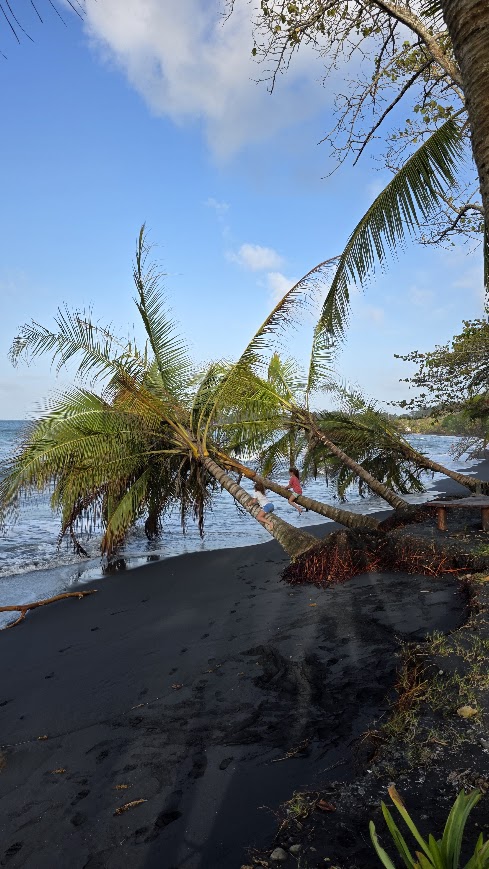 פלאיה נגרה (Playa Negra)